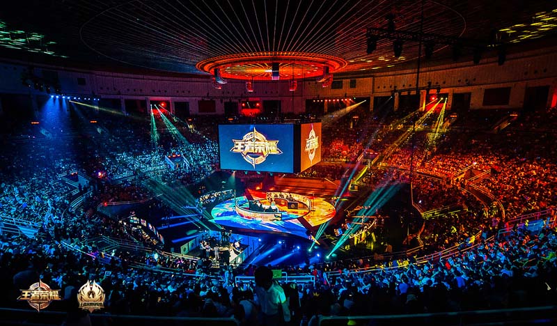 球迷带来了 球迷带来了